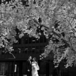 Wedding Venue
